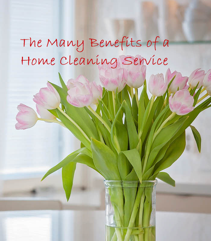 Home Cleaning Services Upper Valley Home Cleaning Services