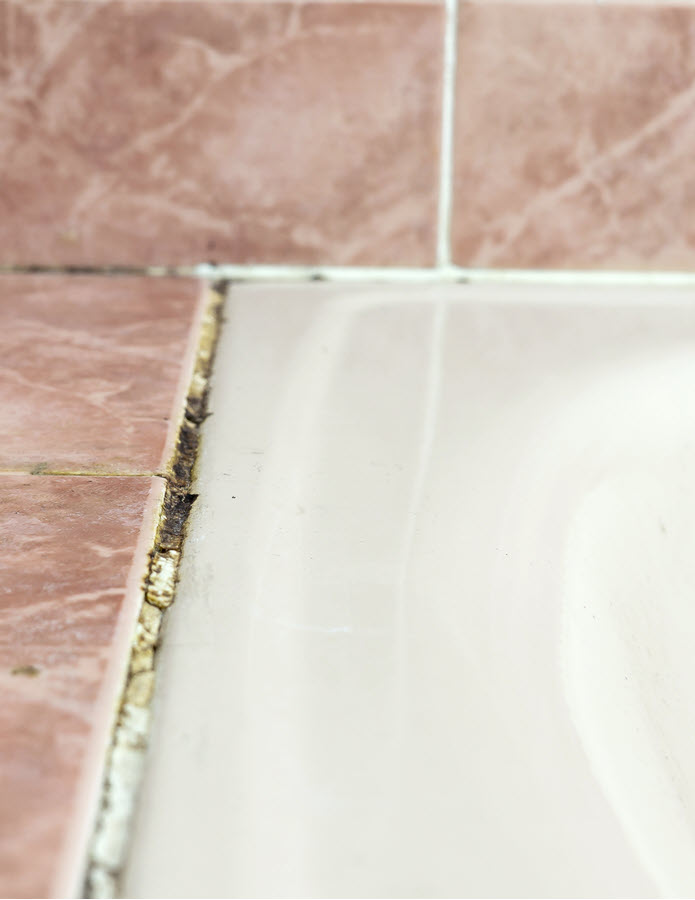 Mold Prevention for Bathrooms - Home Cleaning Services