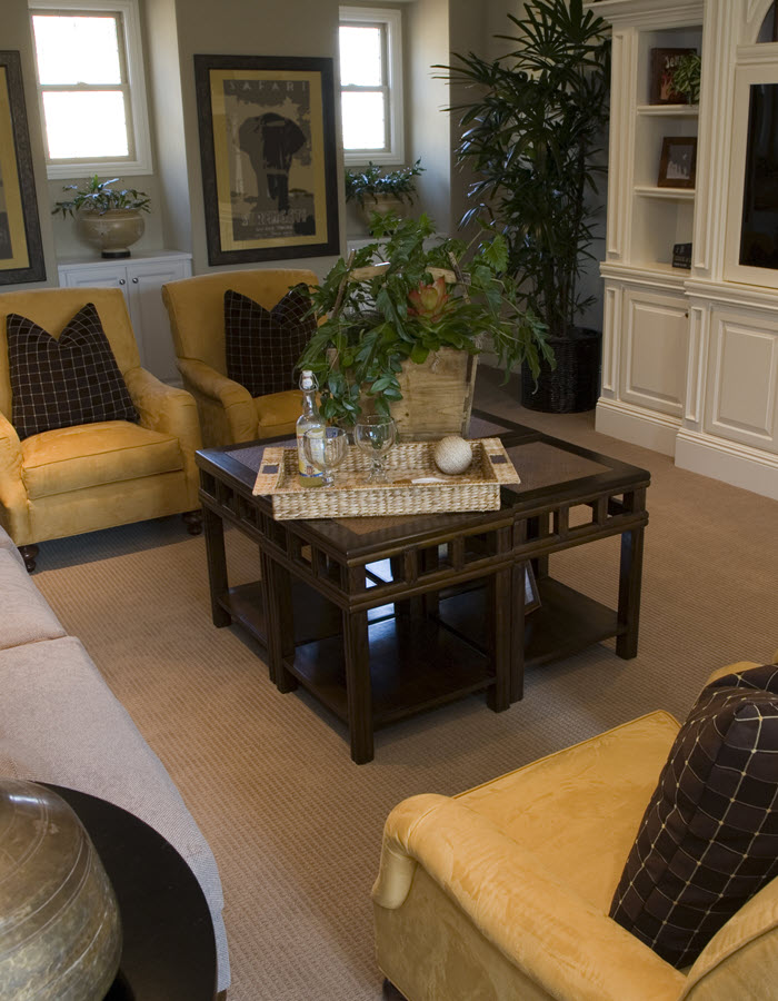 Home Cleaning Services